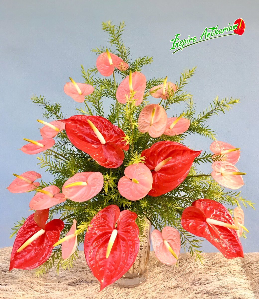 Inspireanthrium tweet picture