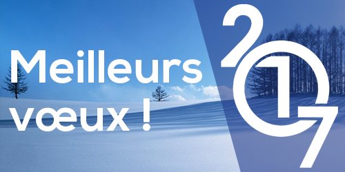 Bonne année 2017 ! Toute l'équipe Manac'h Immobilier vous présente ses meilleurs vœux :) #immobilier #bureaux #nantes