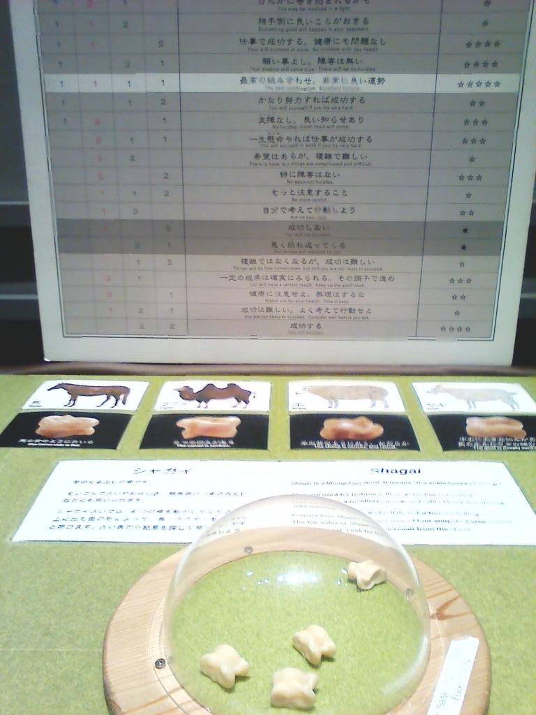 絵本コーディネーター東條知美 On Twitter 何年ぶりかで神社のおみくじを引いてみたら 凶末吉 でした もうわたしは一生シャガイ モンゴル の占い 羊のくるぶしの骨を転がして出た目で運勢を占う でしか占わない 昨日のシャガイ占いでは最高運 星５つだっ