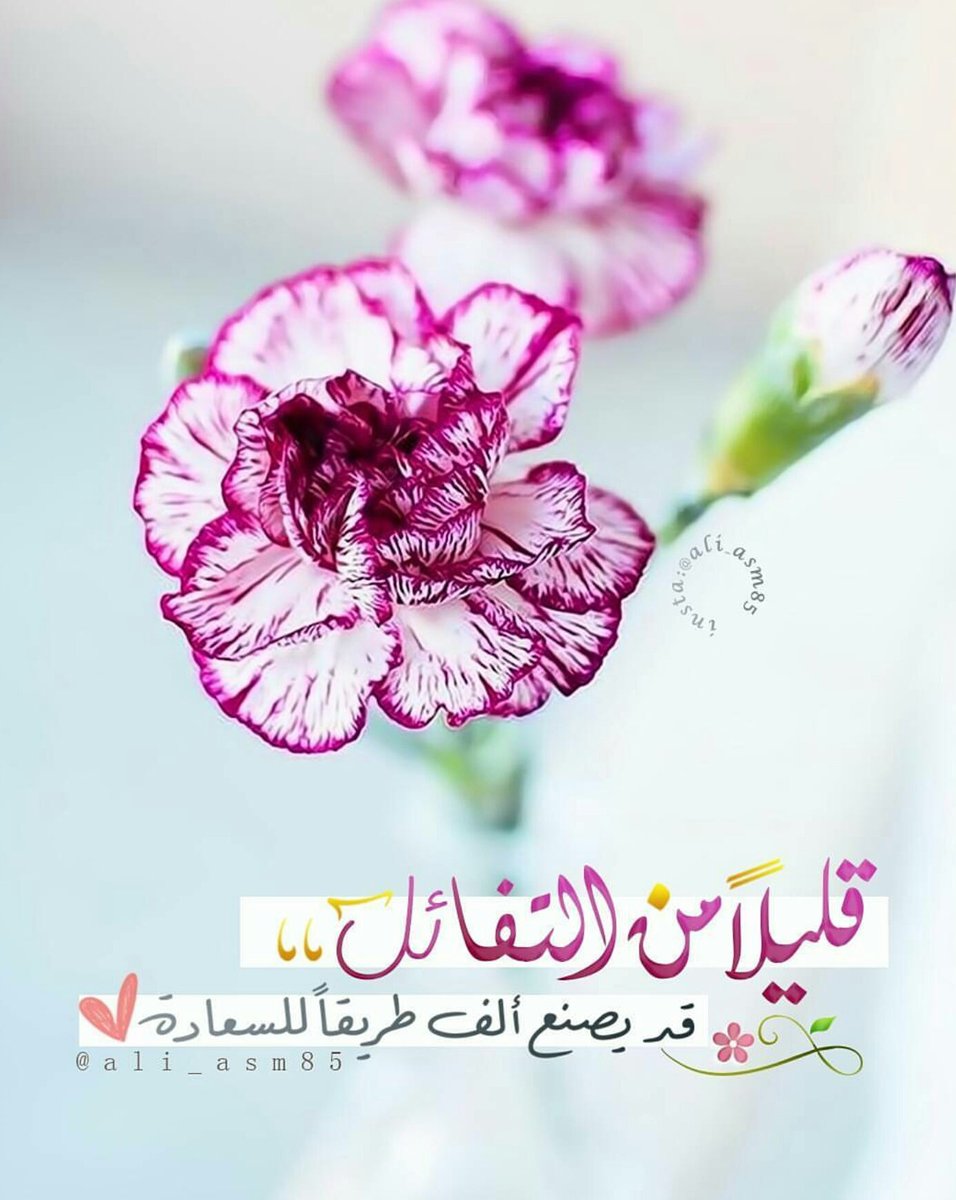 🍃عش يومك بكل تفاصيله
اطمئن لأن الله معك
واطمئن لأن مستقبلك بيد الله
وتذكر أن القلق لن يغير من الأمر شيئاً
فقط هو يفسد عليك يومك🍃
#غرد_لتثاب