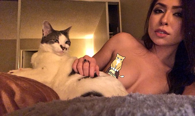 Kitties &amp; titties 💕🐈  SC: @ohmelissamoore https://t.co/N8iUNeP2Be<a class="tags" href="/tag/ohmelissamoore">@ohmelissamoore</a>