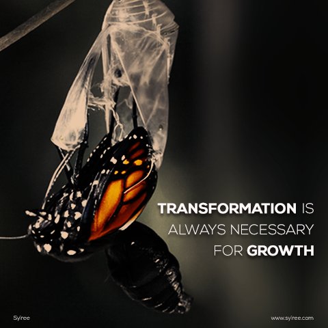 Syiree_Official's tweet photo. For Change is Necessary; #change #transformation #revamp #allthings #new #2k17 #likeabutterfly https://t.co/6zQ9IL2FVE
