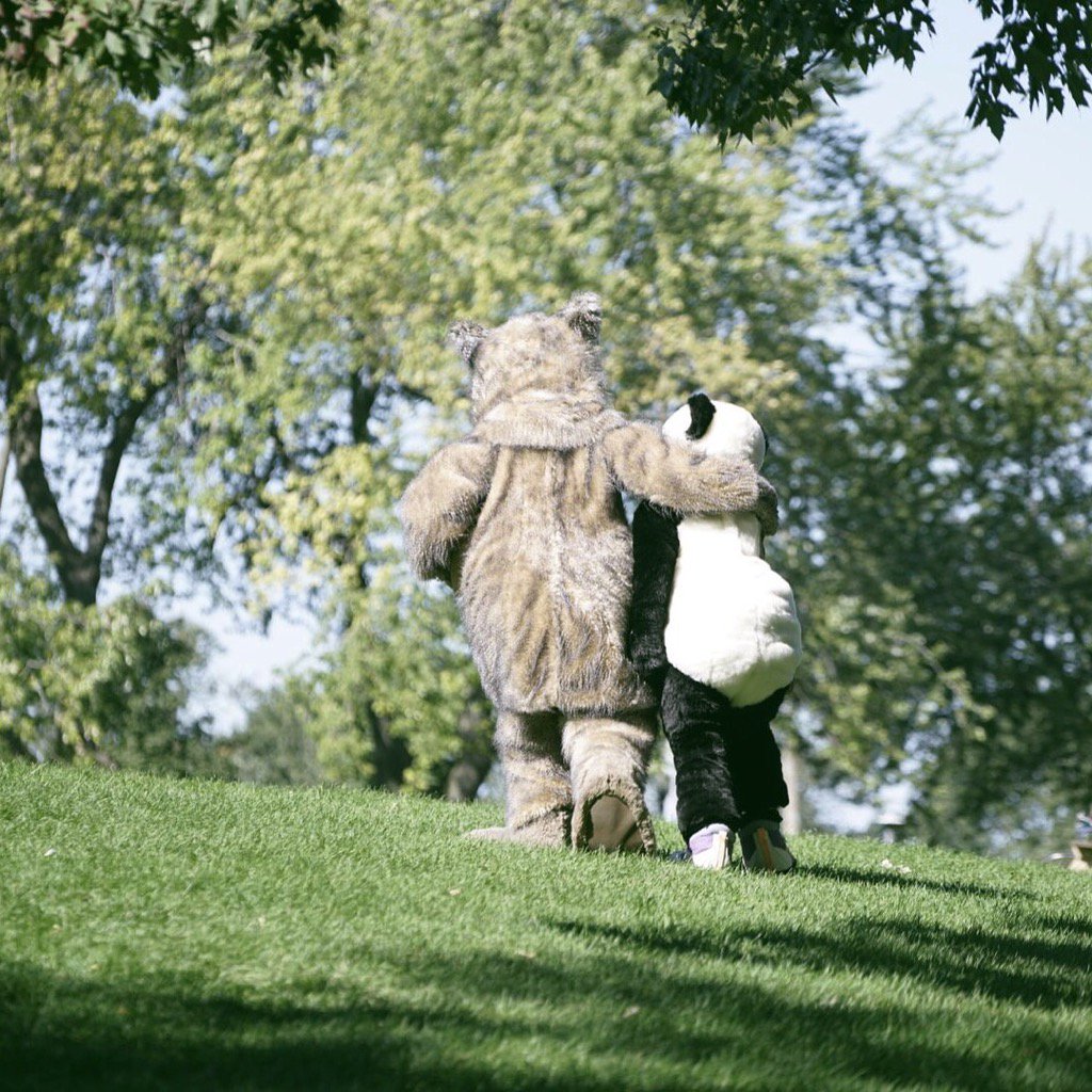 SNS에 올라온 <사랑은 부엉부엉> 리뷰! "봤던 영화 중 가장 따뜻한 영화!" "2017년 부엉군처럼 자신감을 갖자!" "프랑스 특유의 색감과 분위기에 흠뻑...