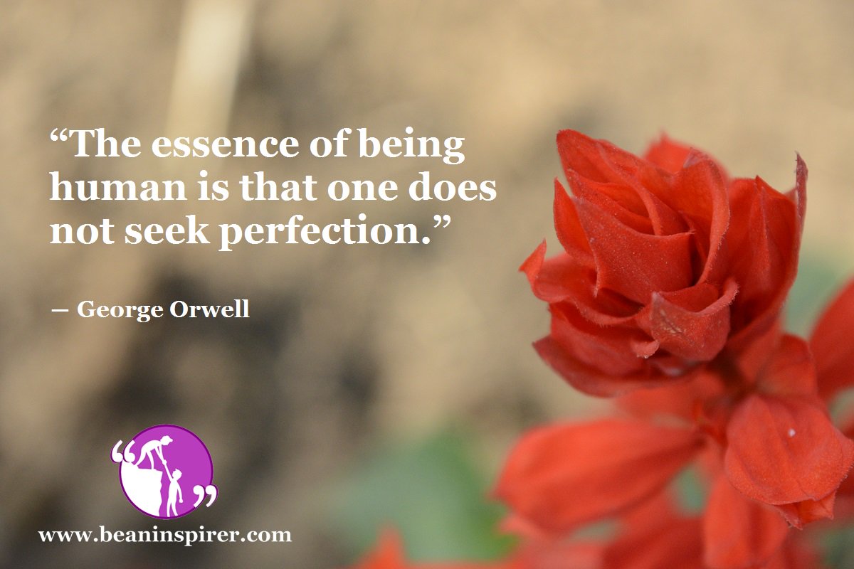 BeAnInspirer's tweet photo. How to seek happiness in Imperfection?

Read: https://t.co/NRtpB7eNBG

#Article on #Humanity | #BeAnInspirer #SpreadTheInspiration https://t.co/M5A1lULqeb