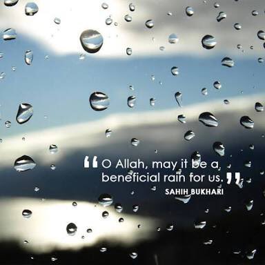 mpakiiprince's tweet photo. 💚 ASLAAM O ALAIKUM 💚
    💚 ALHAMDULILLAH 💚
💚HAPPY RAINY MORNING💚 https://t.co/DZoU0te4Xc