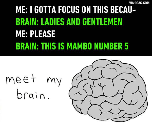 9GAG ❤️ Memeland tweet media