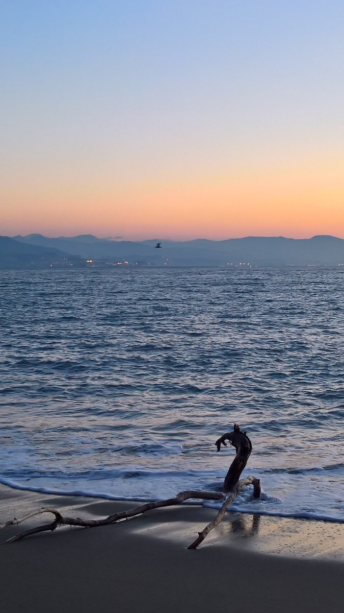 Lochness 😱  #Arenzano <a href="/Fagemma/">Fabrizio Gemma 🏴󠁧󠁢󠁥󠁮󠁧󠁿</a> <a href="/MauriGe76/">Mauri</a> @TurismoLiguria @tizianocrenna