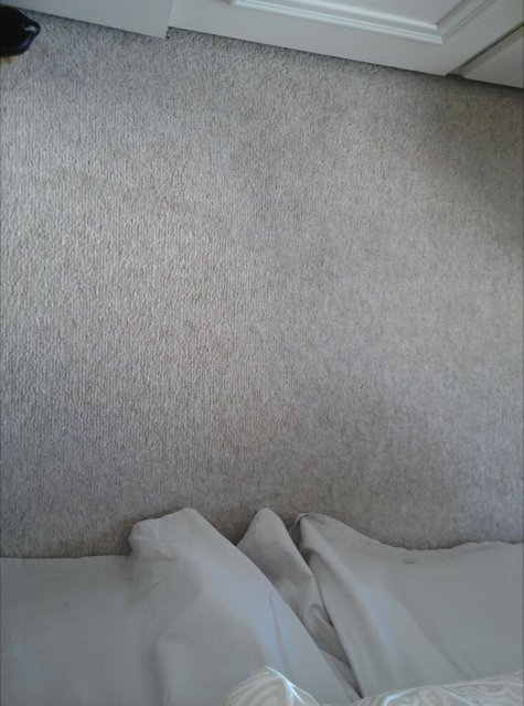 provac1 tweet picture