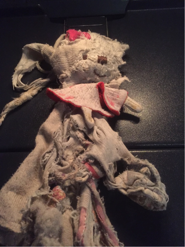 easyJet's tweet photo. Much loved bear found on an easyJet flight from Bordeaux Luton on 20/12. RT to help us reunite him with his young owner! #GetShackletonHome https://t.co/IjPSdVTglO