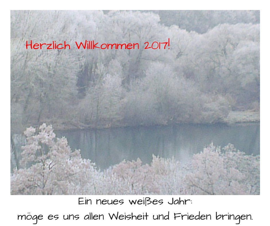 FlowBirthing's tweet image. 