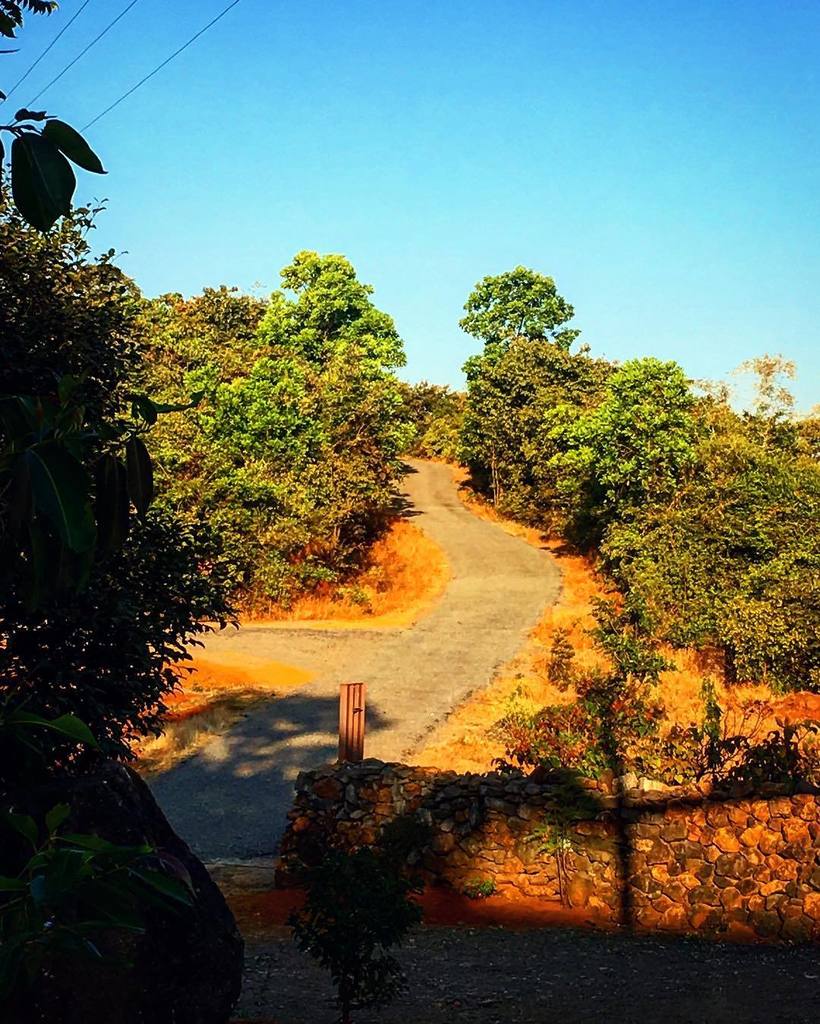 sid_dharth's tweet photo. A pathway to forest! 🌳 #forests #green #nature #skies #blue #trees #resort #ig_explore #vo… https://t.co/MH0iR3alBl https://t.co/vFUfqlyE2V
