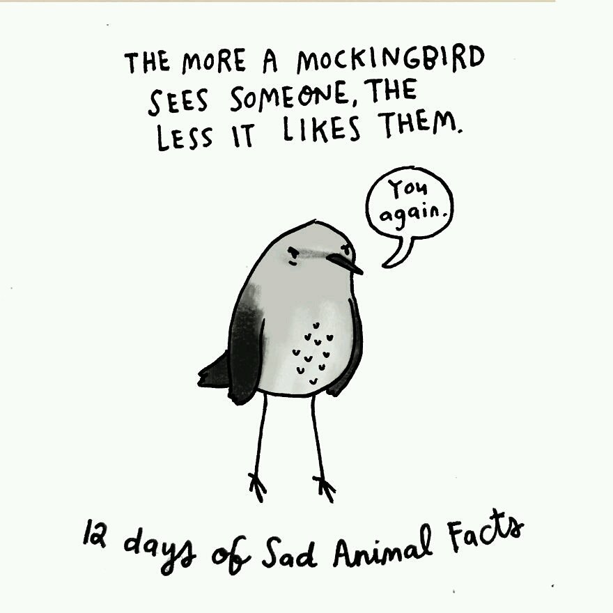 :D in mijn vorig leven was ik zeker een mockingbird