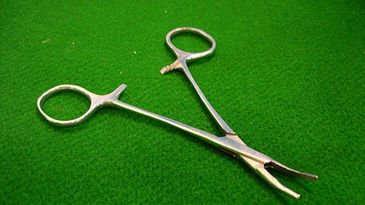 noticias_cuatro's tweet photo. Extraen unas tijeras quirúrgicas olvidadas en el abdomen de un paciente... ¡18 años después! https://t.co/fAuaEB8IJH
