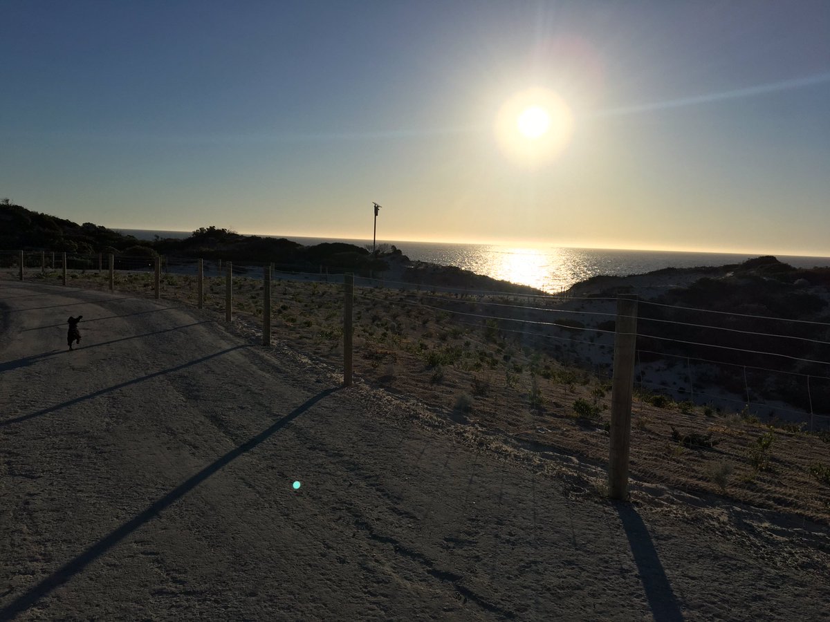 Simonholly84's tweet photo. @wittertainment listening to the best of 2016 while walking the dog in sunny Perth. https://t.co/ptIQeZrhsa
