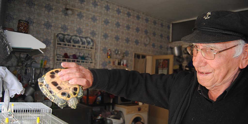 Gonazare tweet media