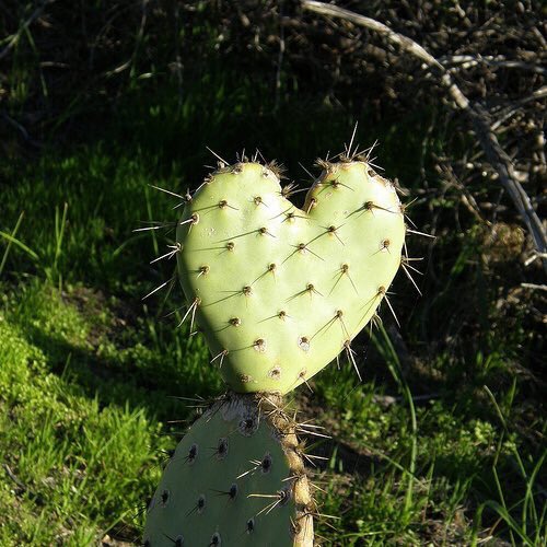 PriscilaoGITH's tweet image. Fotos inéditas do meu coração