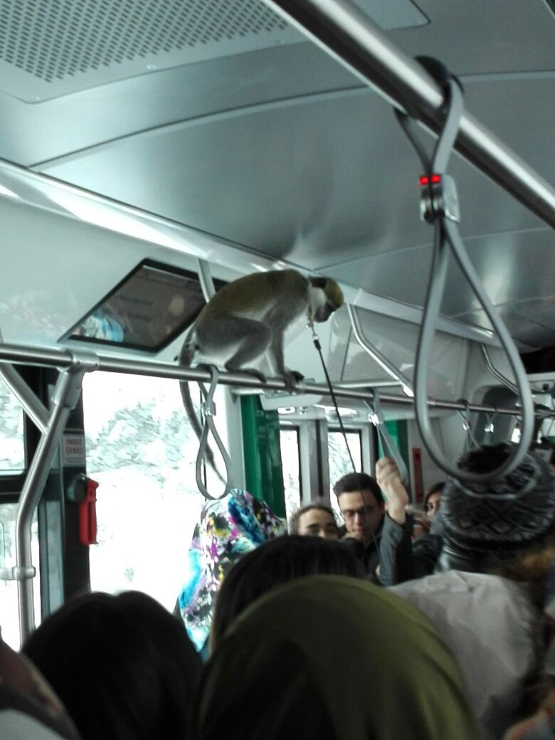 Başka şehirde yaşayamam...