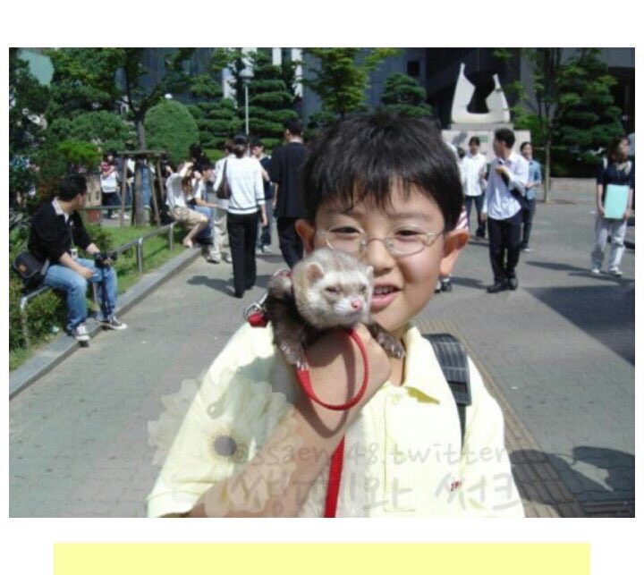 numsaeng13's tweet photo. -นายๆ ชื่ออะไรอะ ทรงผมดท่จัง เราชื่อชันยอลนะ! เรามีเฟอเร็ต นายอยากมาเล่นกะเรามะ
-เราไม่เล่นกะเด็กแว่นหวะยอล เราคีพลุคswag ทรงผมนี้ทรงคนswag https://t.co/JBTPrpuzly