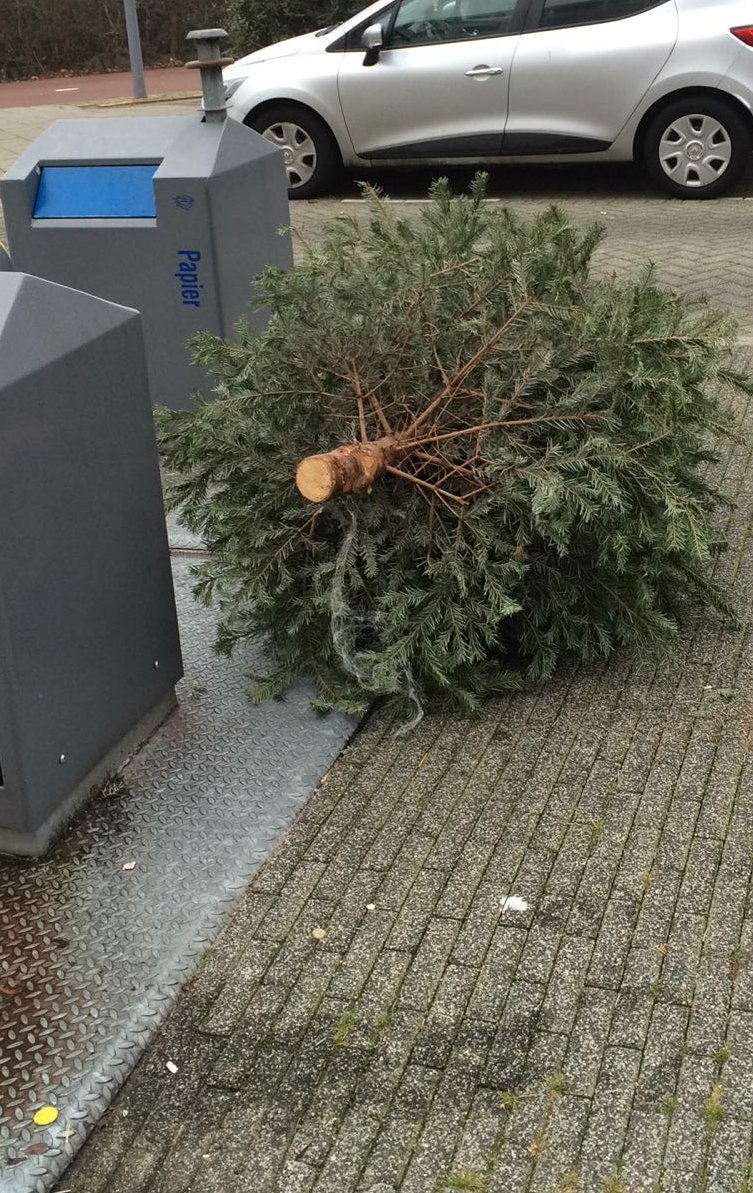rotterdam's tweet photo. Genoeg van je #kerstboom? Leg deze uiterlijk zaterdag bij de wijkcontainer of op de ophaaldag bij je minicontainer. https://t.co/HLwCQlNoo6 https://t.co/xMNUIGyid3