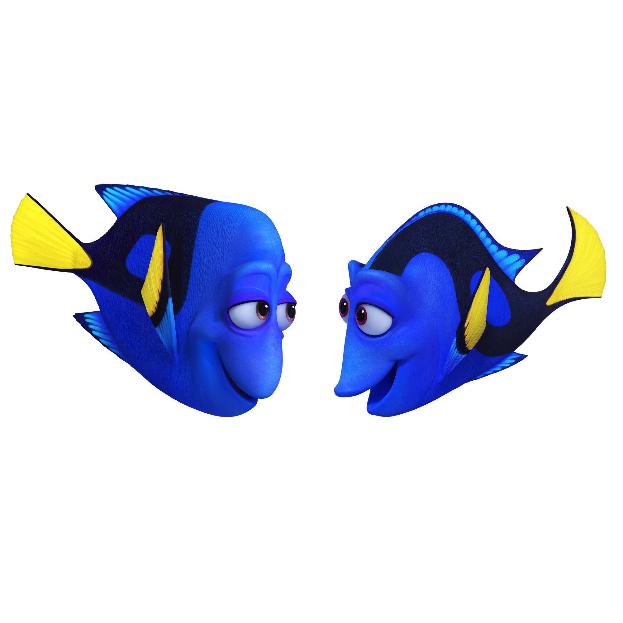 A mother is indeed a girl s best friend! Happy birthday to Dory s amazing mom, 