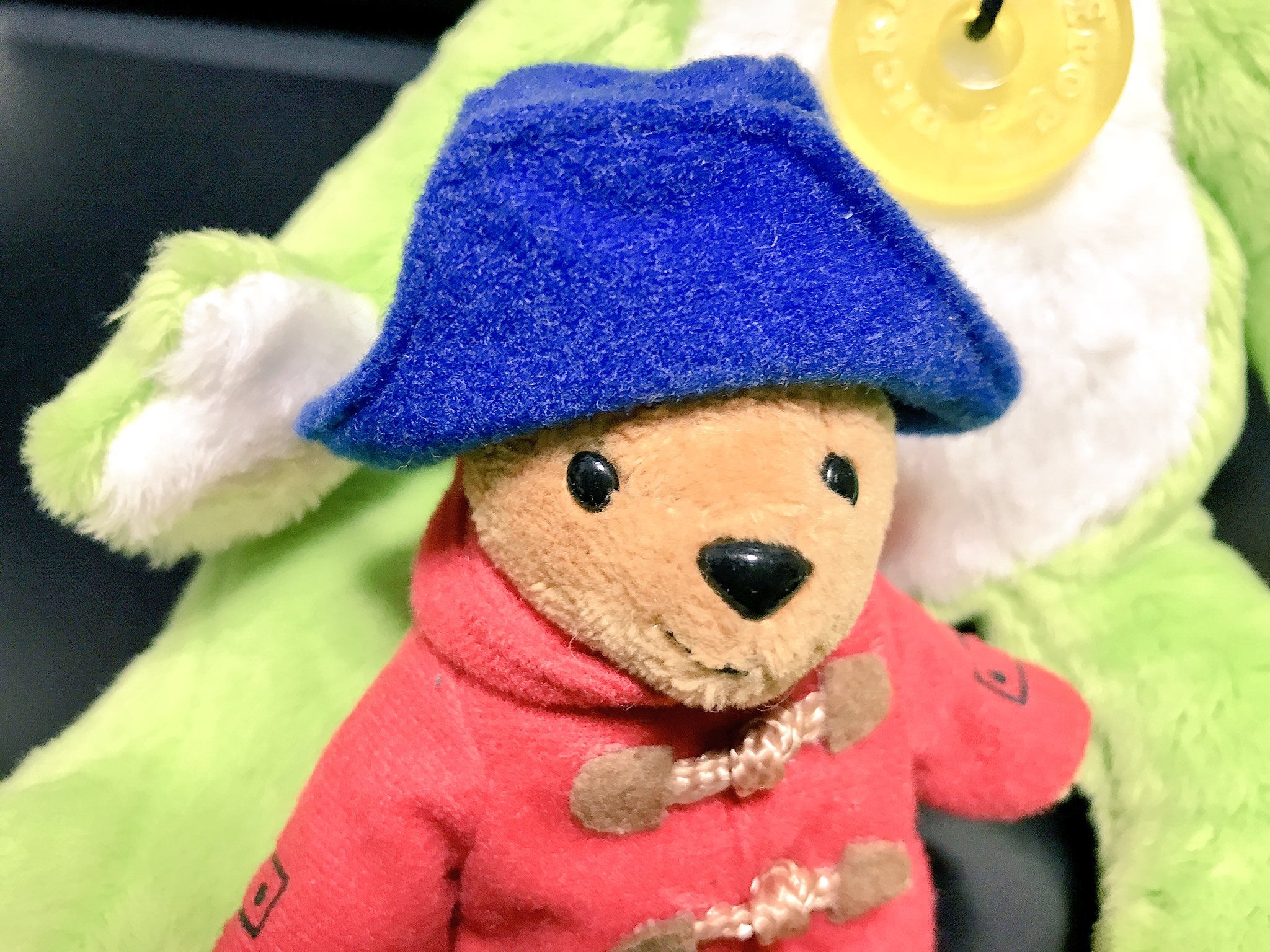 くまみ くまのパディントンって 帽子を取ると耳が黒いのが私的にチャームポイントだと思うんですよね この子はちゃんと耳色反映しているかな と思って帽子を取ってみたら ぎゃああああ T Co Jwqxaydzd5 Twitter