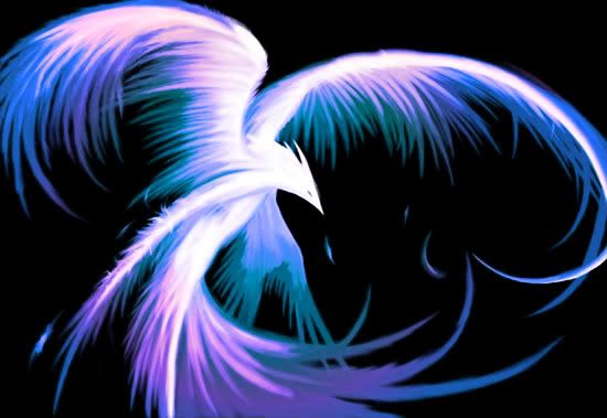 TheZoFlow's tweet photo. 10 years of grounding into SA SOIL and now it's time to fly, hello Twitter, come fly with me! #myfirstTweet https://t.co/AzxQmZQoJg