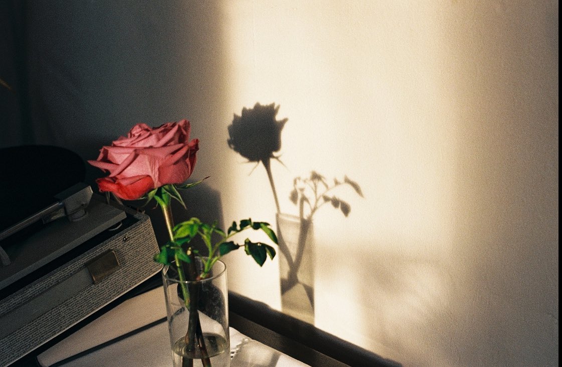 IldikoBuckley's tweet photo. Afternoon shadows #1872photographsof2015 #believeinfilm  #berlin #kreuzberg #ishootfilm #analogue #photography #film #artwork #stilllife https://t.co/QpCaxvj0ex