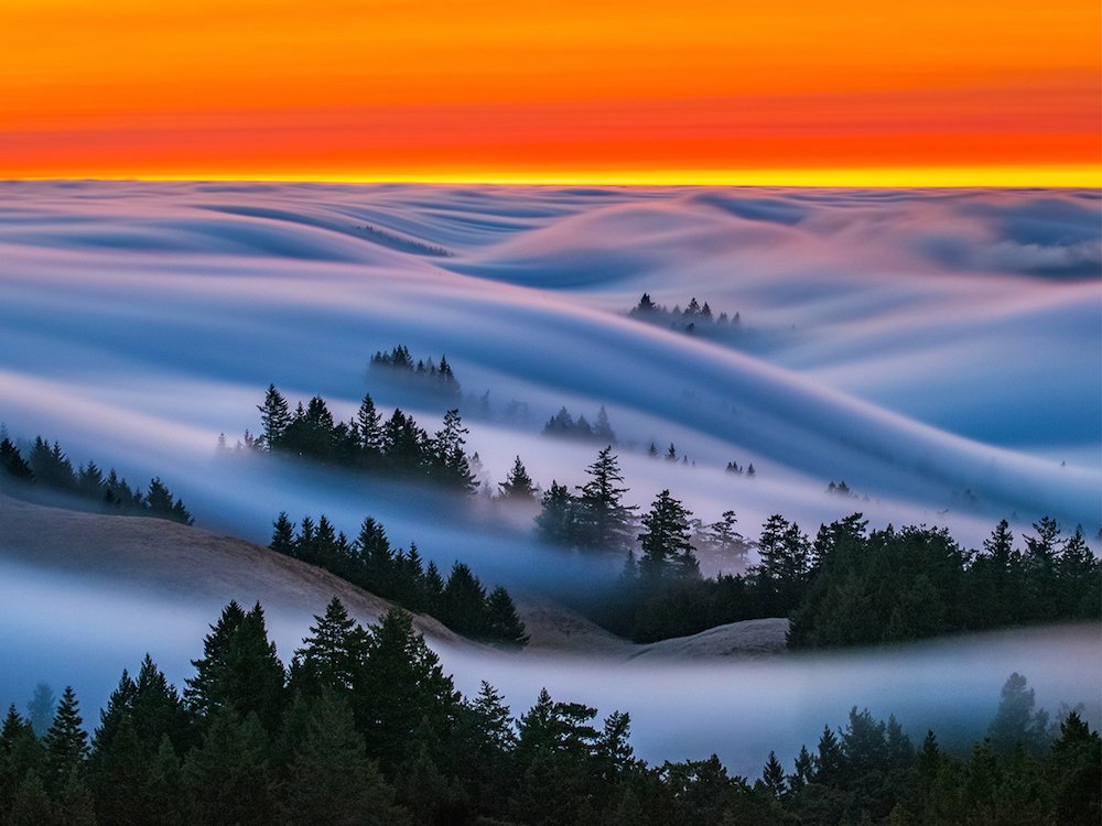 fullbleedtv's tweet photo. San Francisco’s fog against neon skies.
By #NicholasSteinberg
@Colossal https://t.co/y2wJnu0GGd https://t.co/H0lDV9zUnl