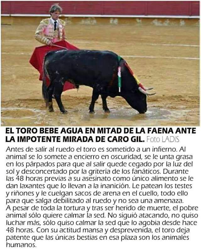 RoiLopezRivas's tweet photo. Más claro no canta un gallo. 

No es arte, es TORTURA. https://t.co/X48RqAxP7S