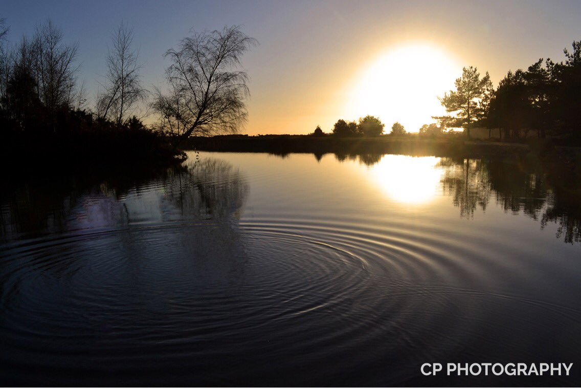 CP_Photography9 tweet picture