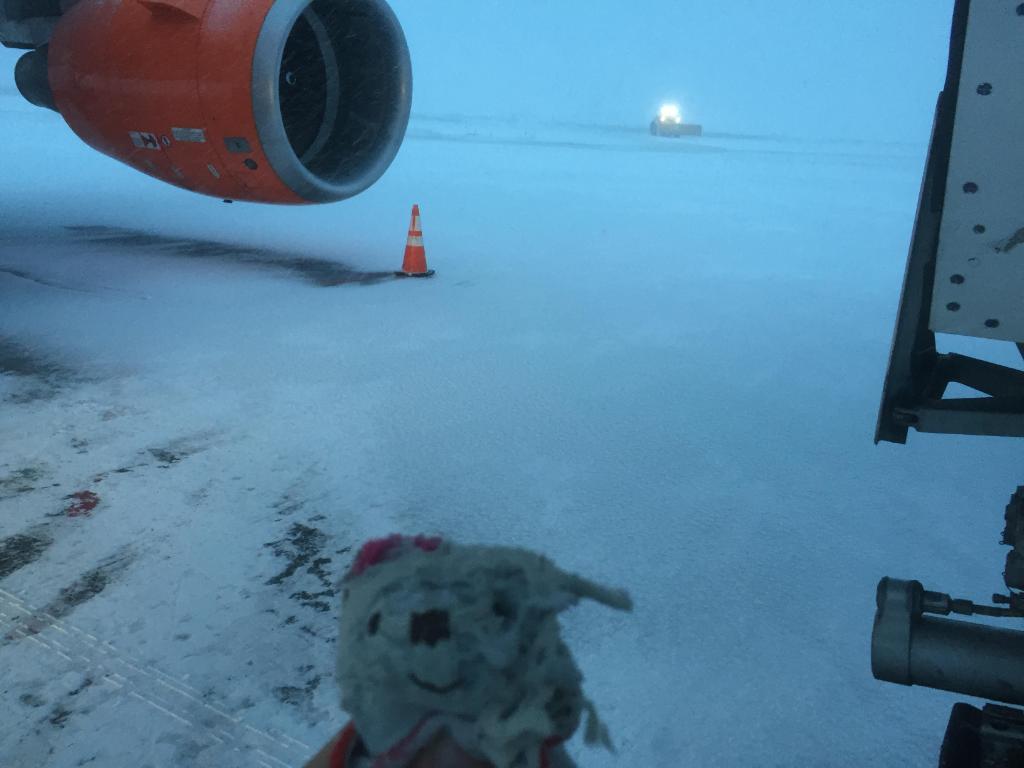 easyJet Capt. Matthew Clutterbuck, has been looking after the bear he has named Shackleton so he can explore Europe #GetShackletonHome