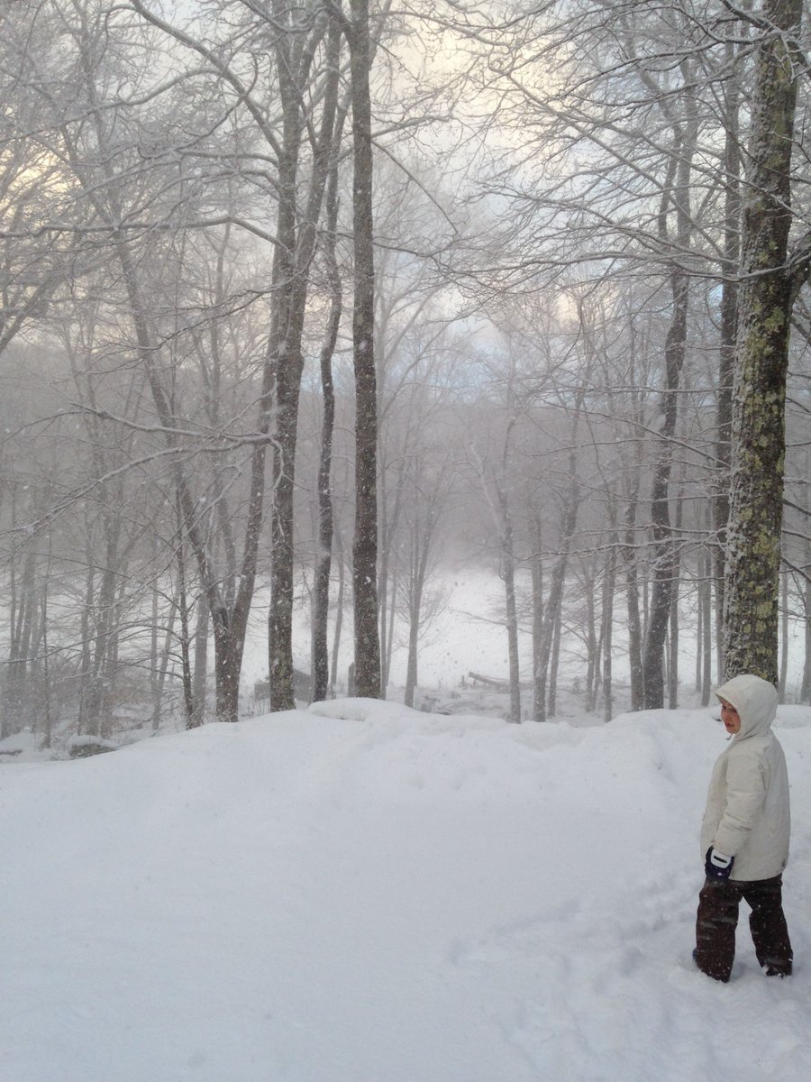 movingdewitt's tweet image. Meet Winter [Episode 2] official home of #winter buff.ly/2hO3PIL via @YouTube