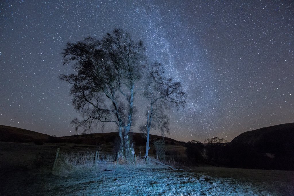 xSorchaLewisx's tweet photo. #frosty #welshclearwing #birch #elanvalley #twinklingstars #SSSIHaymeadow #barnowl #heaven #snipe #vixenacrosswater @TheElanValley https://t.co/jd9BS6TmPL