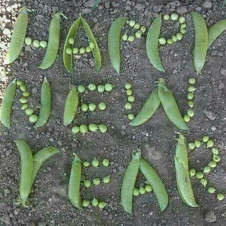 markgrown's tweet image. 