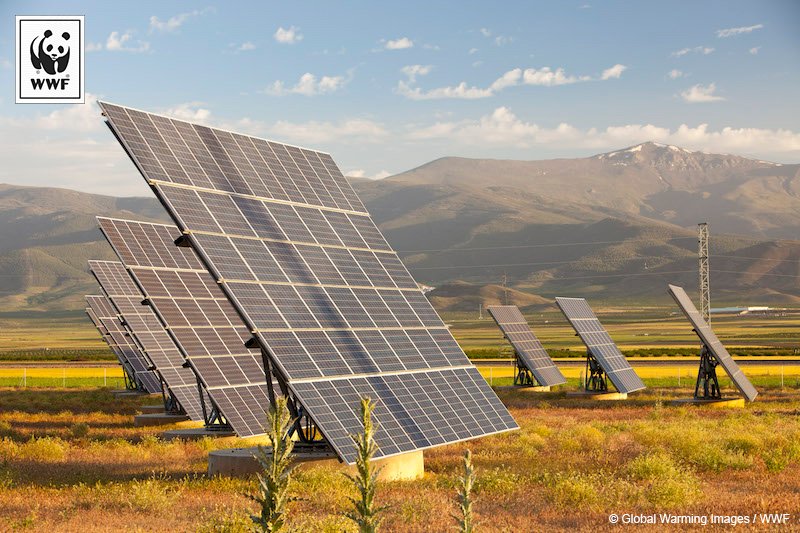 Le #WWF félicite la France pour le dispositif ambitieux pour les premiers #GreenBonds français bit.ly/2hLBSOk