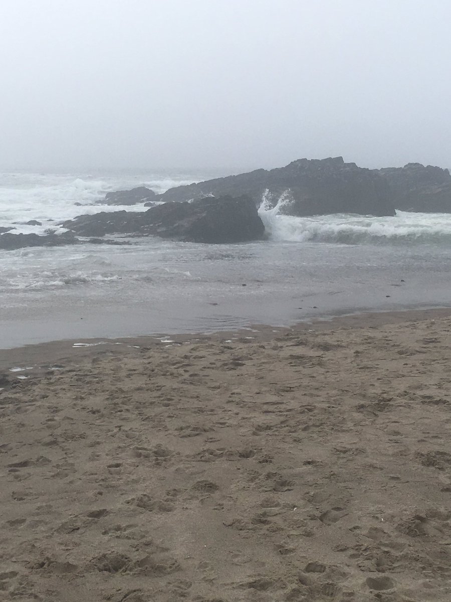 Rachelmcglu's tweet photo. #missingthewater #wishiwerehere https://t.co/7SWtpCFstm