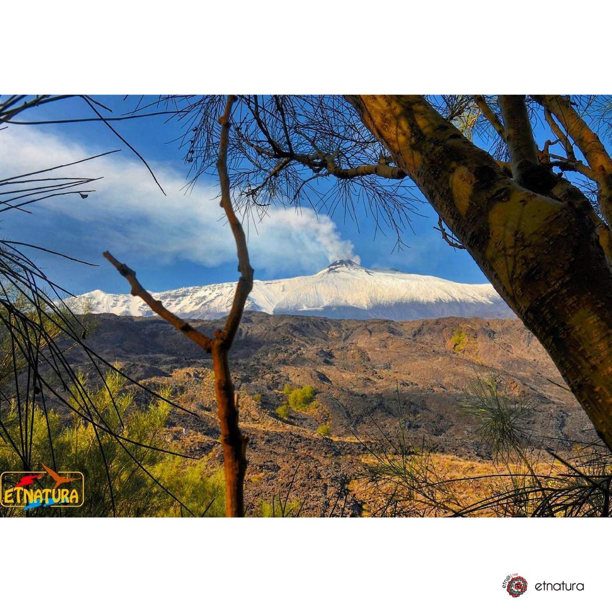 EtnaLive's tweet photo. L'#etna e la #valledelbove viste da Val Calanna. #volcano #snow #natura #sicilia #sicily #exscursion #colata #lava
📷 @etnatura - 11.12.16 https://t.co/hN9lpLDwWT