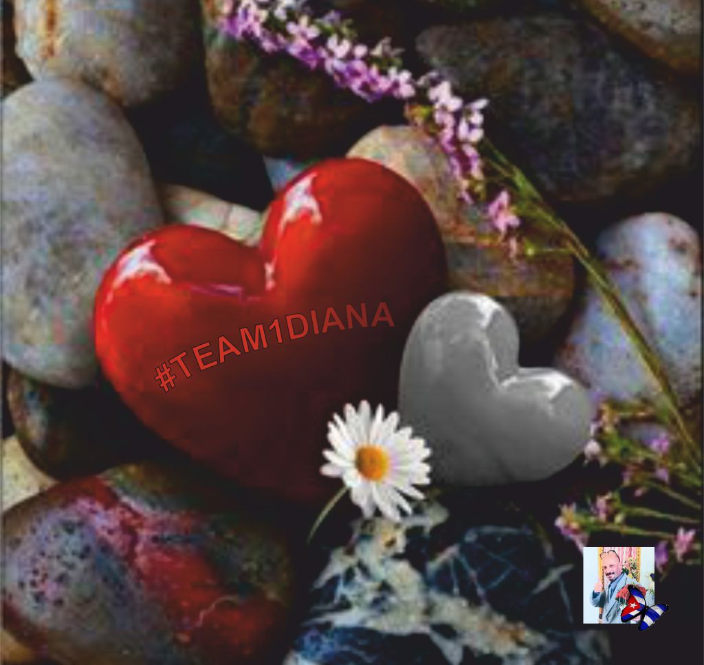 carlos01101966's tweet image. #TEAM1DIANA
@c3ciliya @selanikli91_Can @RaisAlGhousia @omniajen @Blondy_Oficial @BreatheLosA @gs2hmmet @TM1DN
