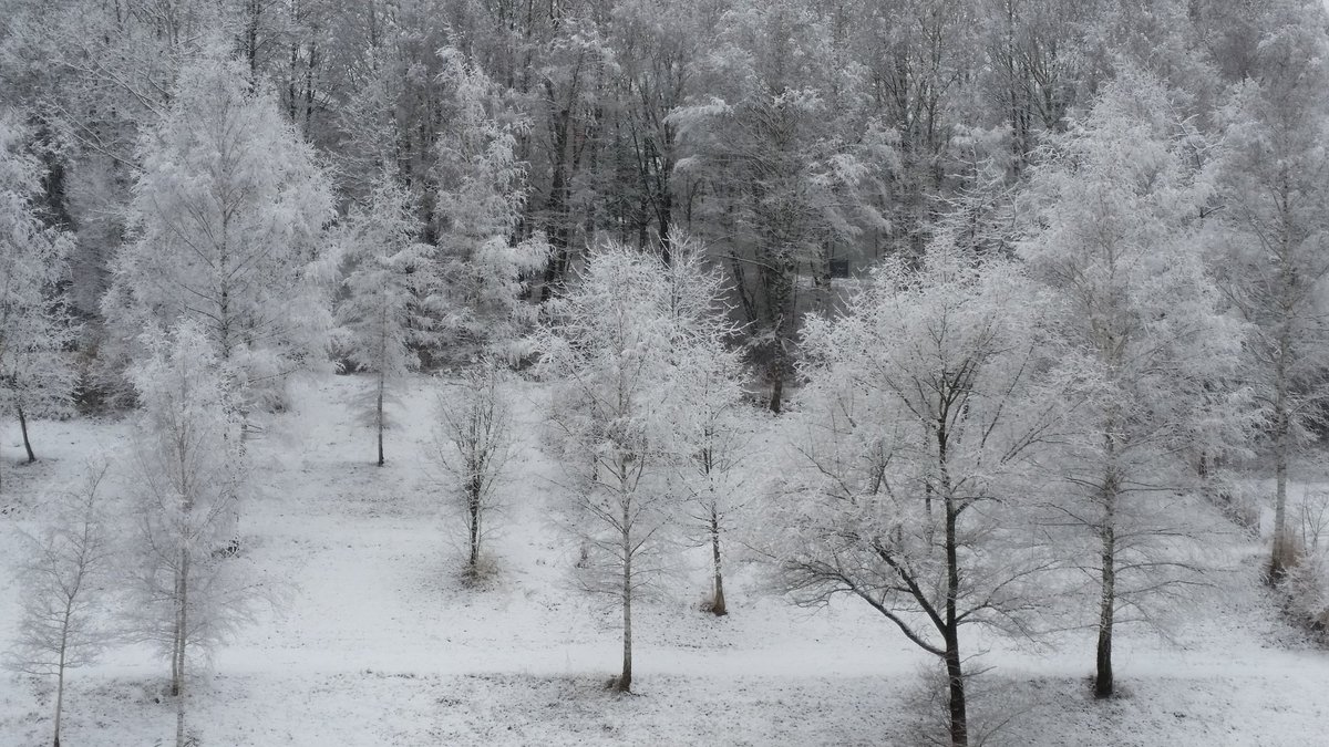 pmanzocchi's tweet photo. My #workplace @swisslife_ch, what a #view #SwissLife #employerOfChoice #Schnee #whenItsJanuary #2017年初ライブ参戦 https://t.co/WqzK4H4YDi