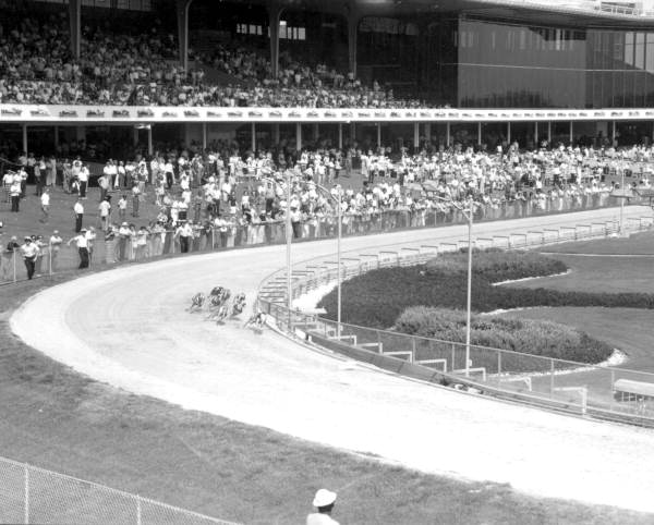 TampaBayHistory's tweet photo. #OTD in 1925, The first races were run at St. Petersburg’s Derby Lane greyhound track. The oldest greyhound track in the world. https://t.co/N6BYbf1wop
