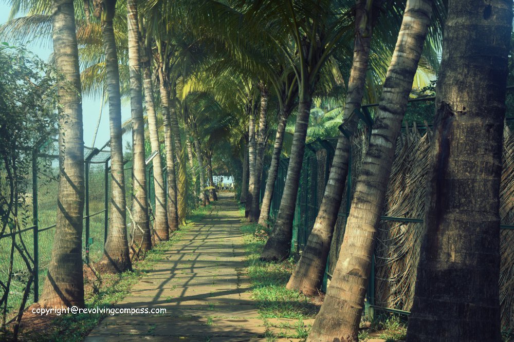 TwitAbhishek1's tweet photo. A week long Goa vacation – self planned https://t.co/jsBHAb7GB3 #goa #indiabeachdestination #goaabeach #selfplannedtrip https://t.co/TdJRFoXYaU