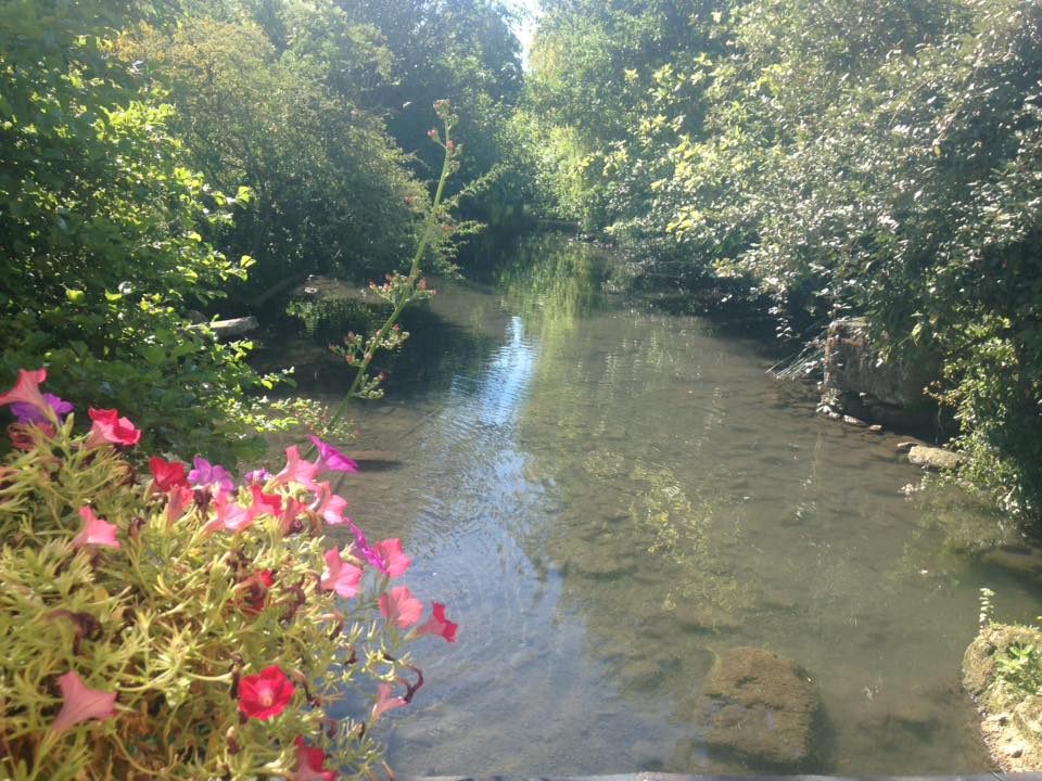 ProvenceTrotteuse tweet media