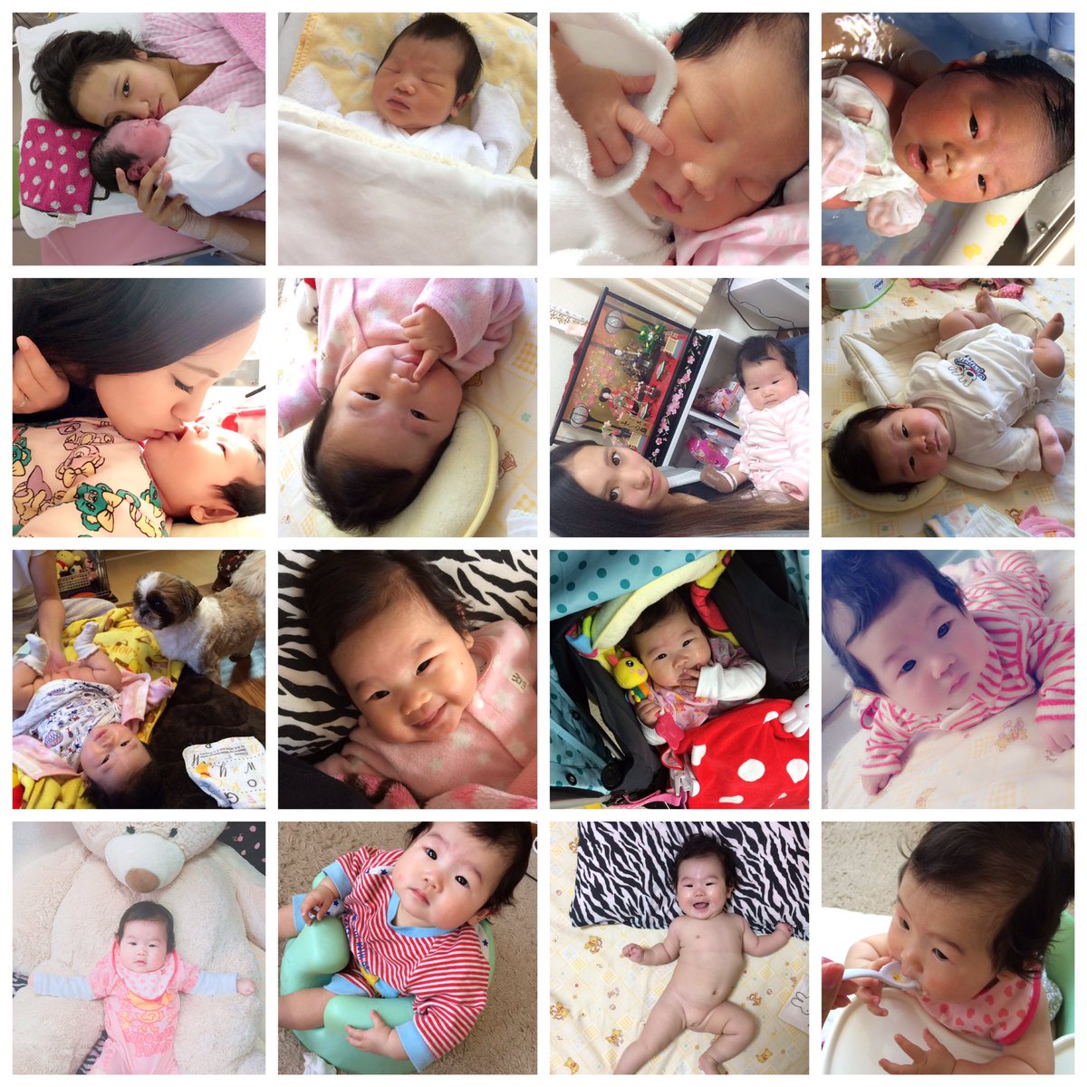 ne02ne07's tweet photo. 2017.01.03
大好きなすずちゃんHappyBirthDay💝
1年あっという間だったけど中身のたくさん詰まった1年だった、、
すずちゃんを産んでよかった
この先もずーっとママっ子なすずちゃんでいてね😊💓 https://t.co/EBddLZTeGL