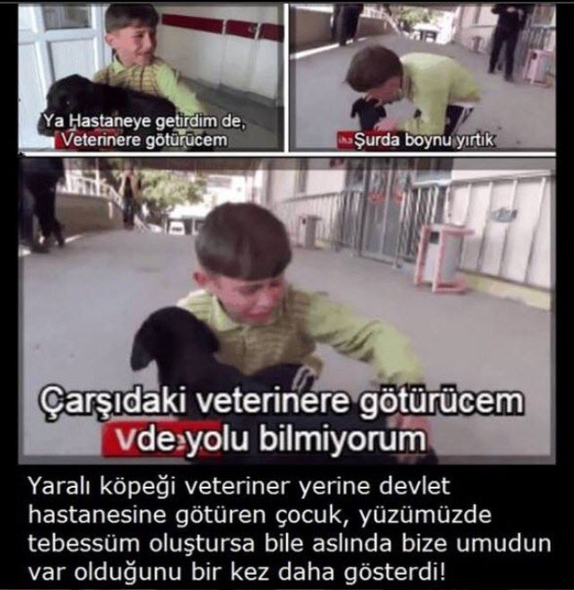 kediversite's tweet photo. Merhamet ve Masumiyet https://t.co/UPJMNjdY5l