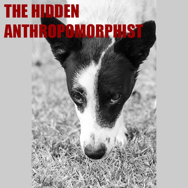 alexacapra's tweet photo. THE HIDDEN ANTHROPOMORPHIST Anthropomorphizing is not transforming dogs in something to admire and show off https://t.co/eRO0PecNeD https://t.co/RP5Y1EhWCy