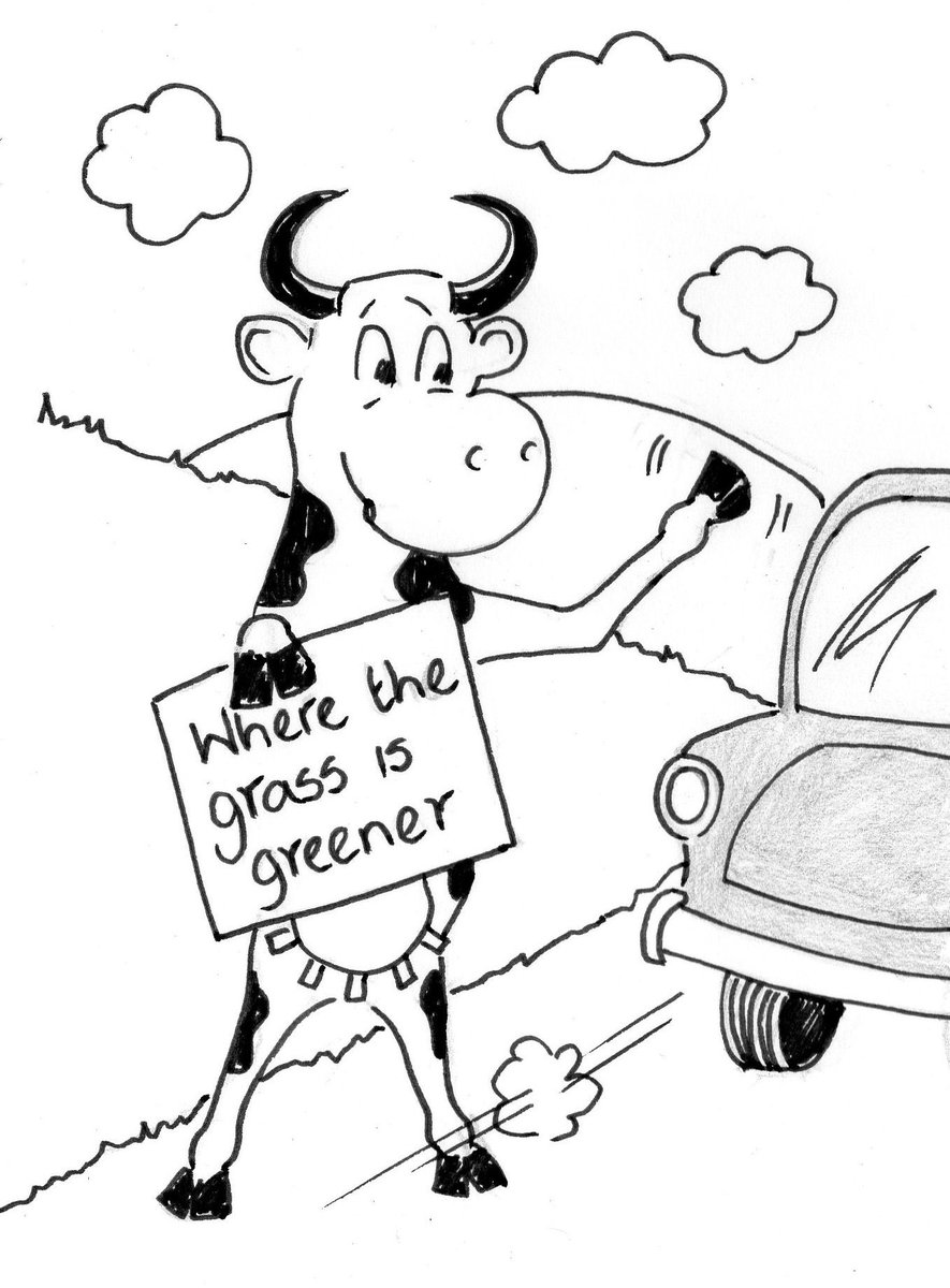 #HAPPYNEWYEAR #backtowork #thebrowncow