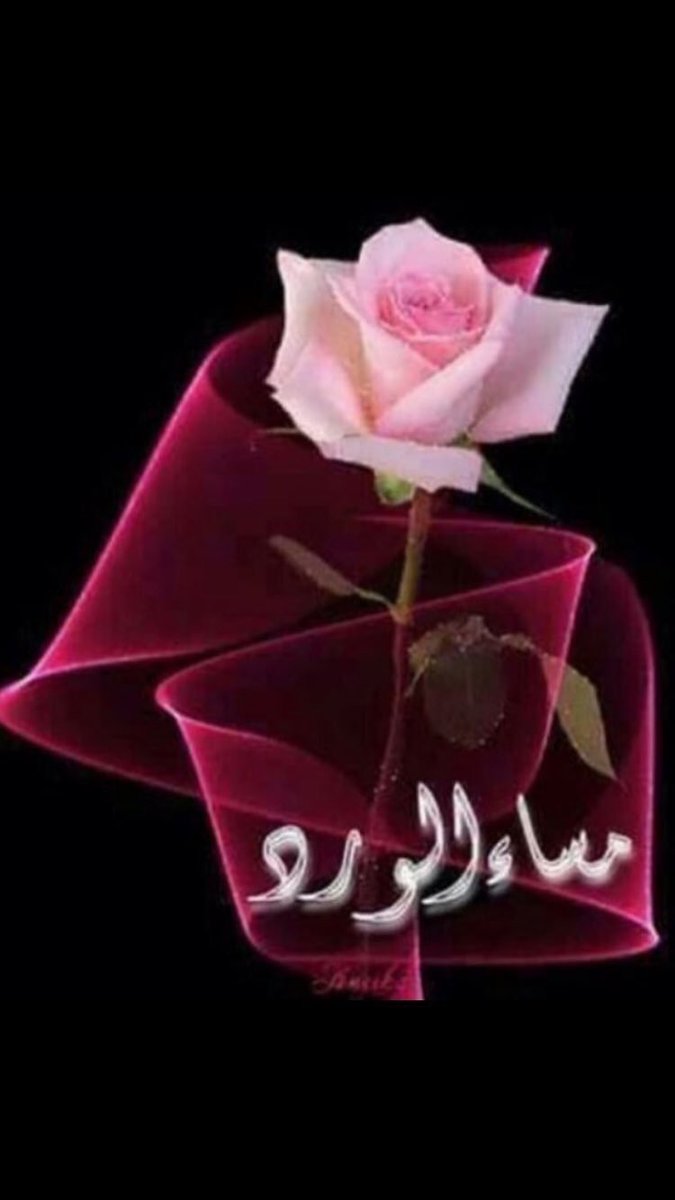 الأفعال هي التي تؤكد صدق المحبه
 أما الكلام فالجميع يتكلم
'
#مساء الخير🌺
'
#قروب_مجرد_للدعم
#النايف_العالمي_للدعم
#قروب_الخنساء_للدعم