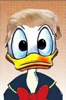 brewdogsoder's tweet image. An Ignorant I.P.A from @7FjellBryggeri has smashed its way onto the draft list. 'The Donald' is here &amp;amp; busting people's chops