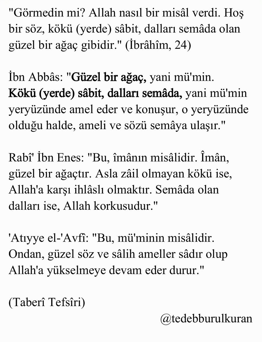 Selefin Tefsîri (@tedebburulkuran) on Twitter photo 