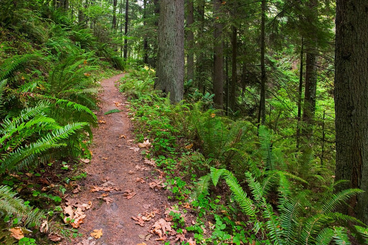 "Nature studies &amp; experience should be an integral part of every curriculum and syllabus" #education ovehum.com/nature-deficit…